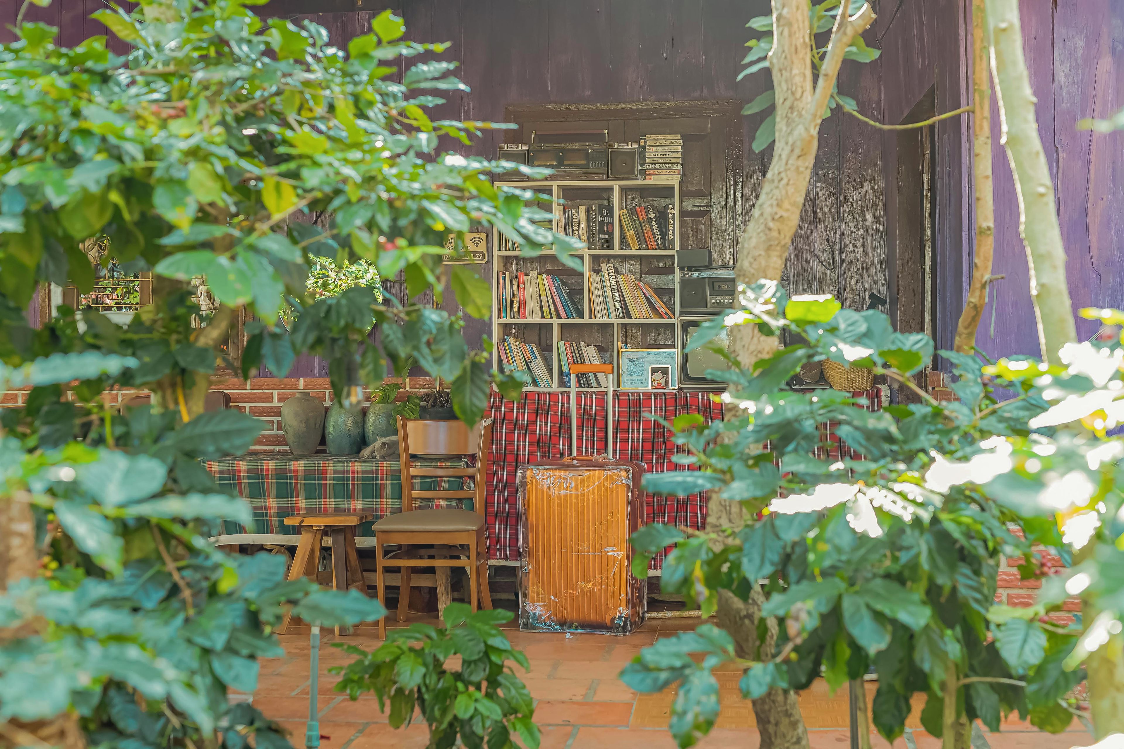 A rustic outdoor seating area with a wooden table and chairs, surrounded by greenery.