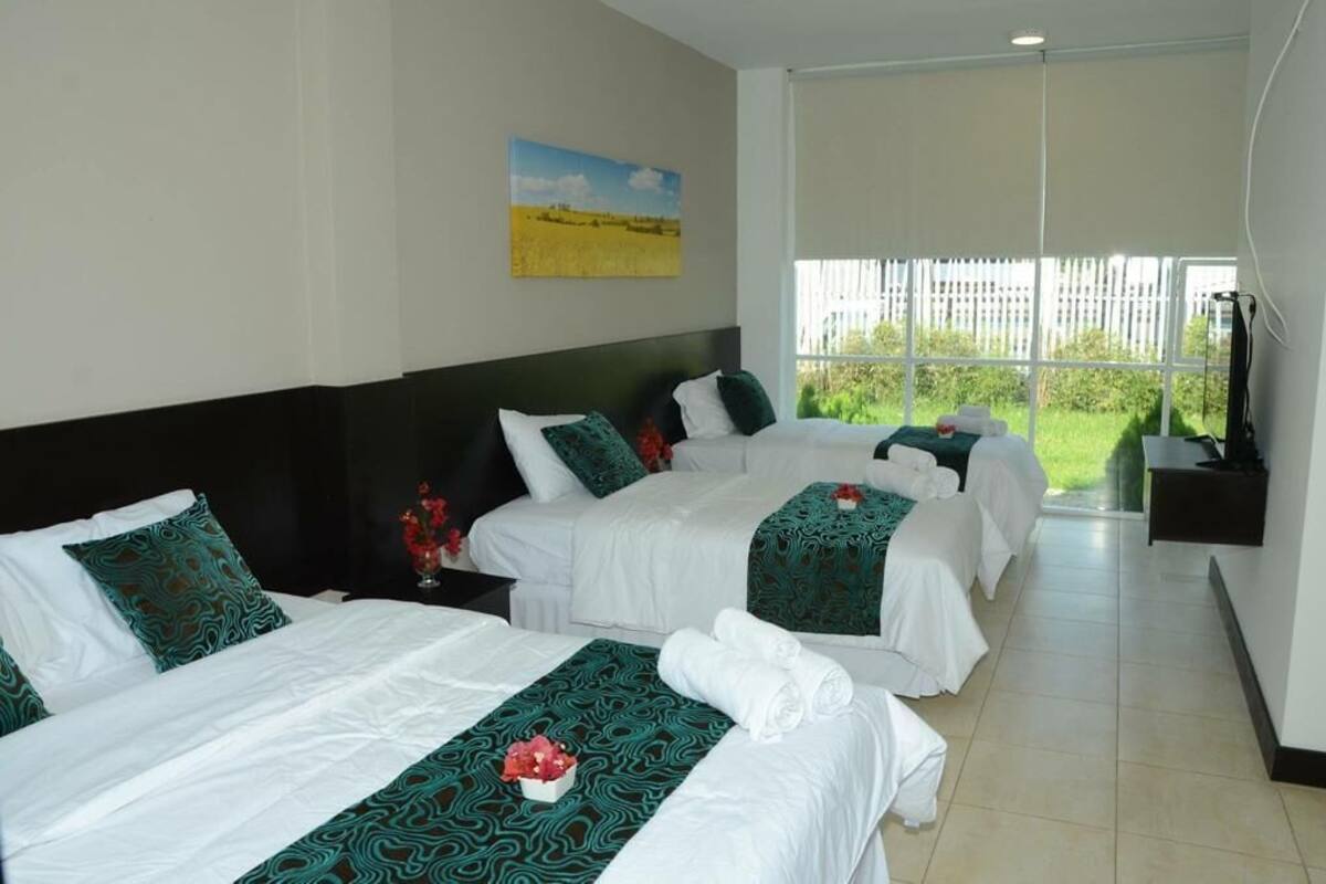A hotel room with two beds, each with white linens and green patterned bedspreads. There is a painting on the wall and a window with a view of greenery outside.