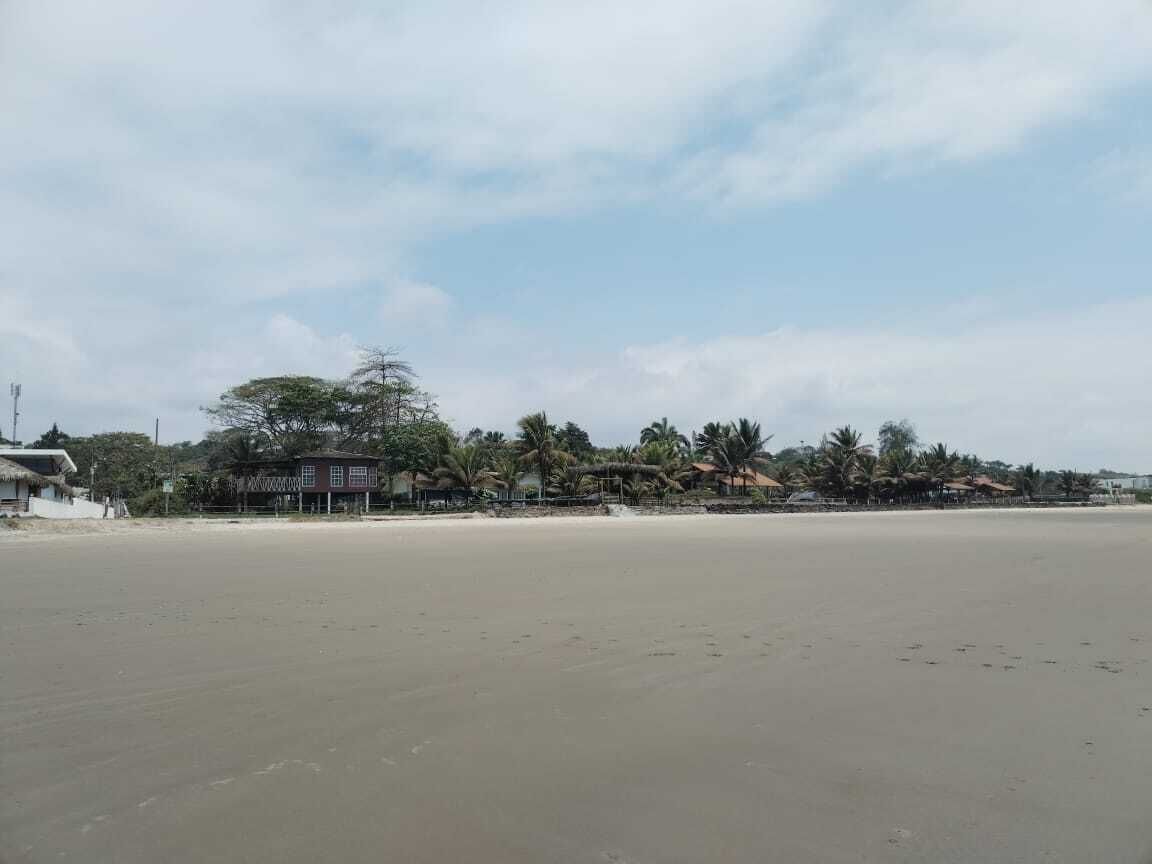 Une plage avec un ciel dégagé, des palmiers et des bâtiments en arrière-plan.
