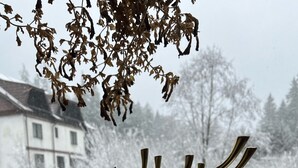 Esterni