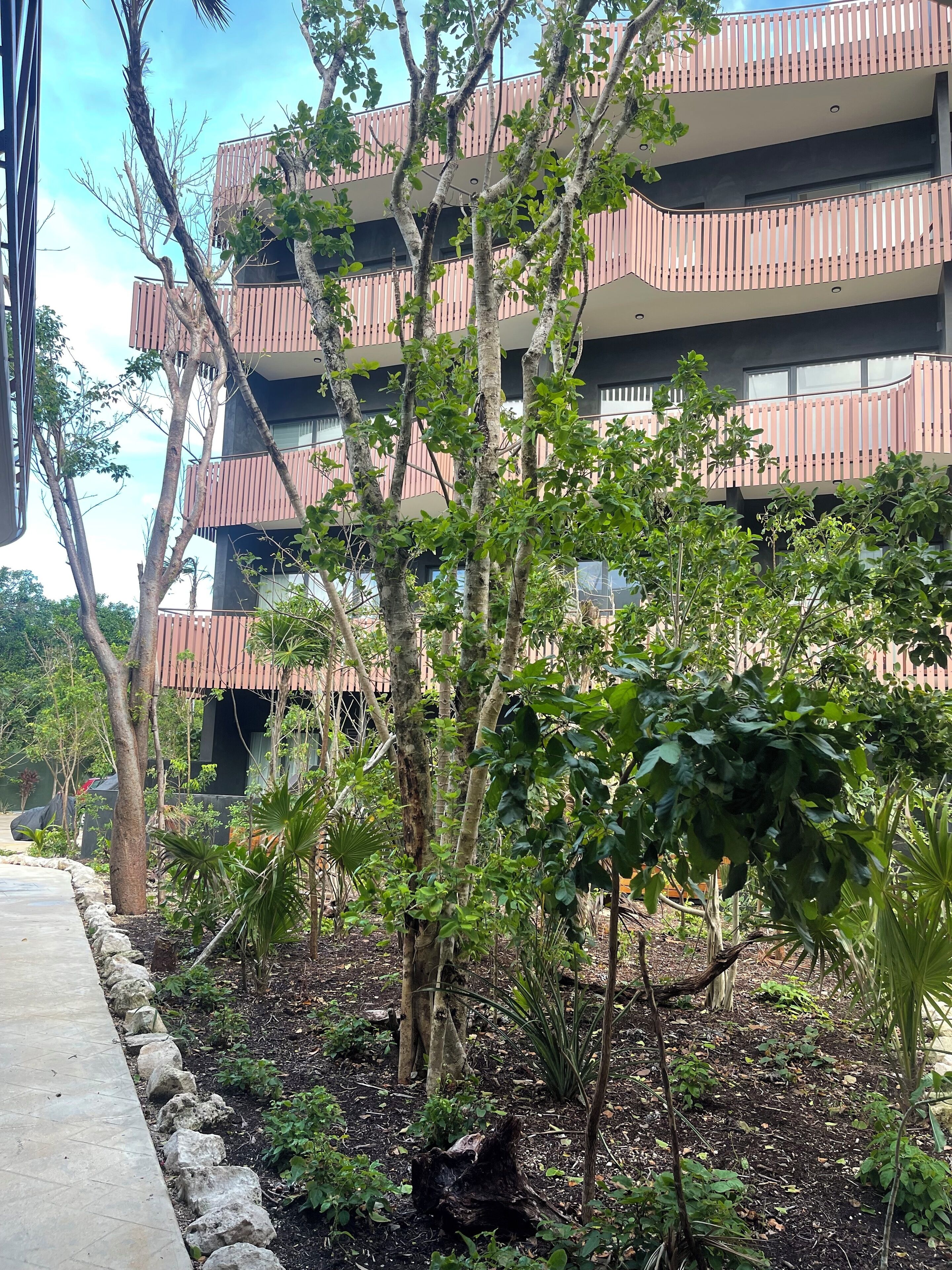 A multi-story building with balconies and a garden area with various trees and plants.