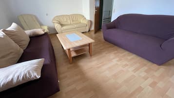 Economy Apartment | Living area