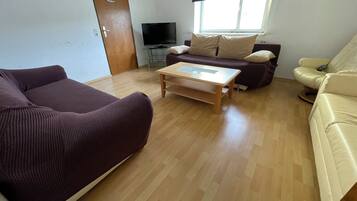 Economy Apartment | Living area