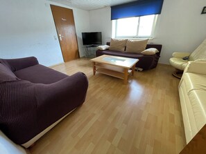 エコノミー アパートメント | リビング エリア