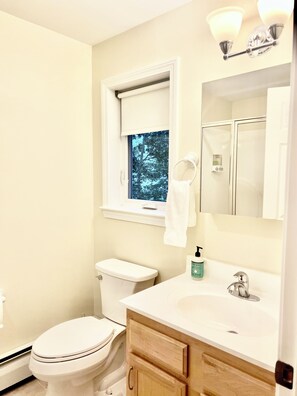 Shower, eco-friendly toiletries, hair dryer, towels
