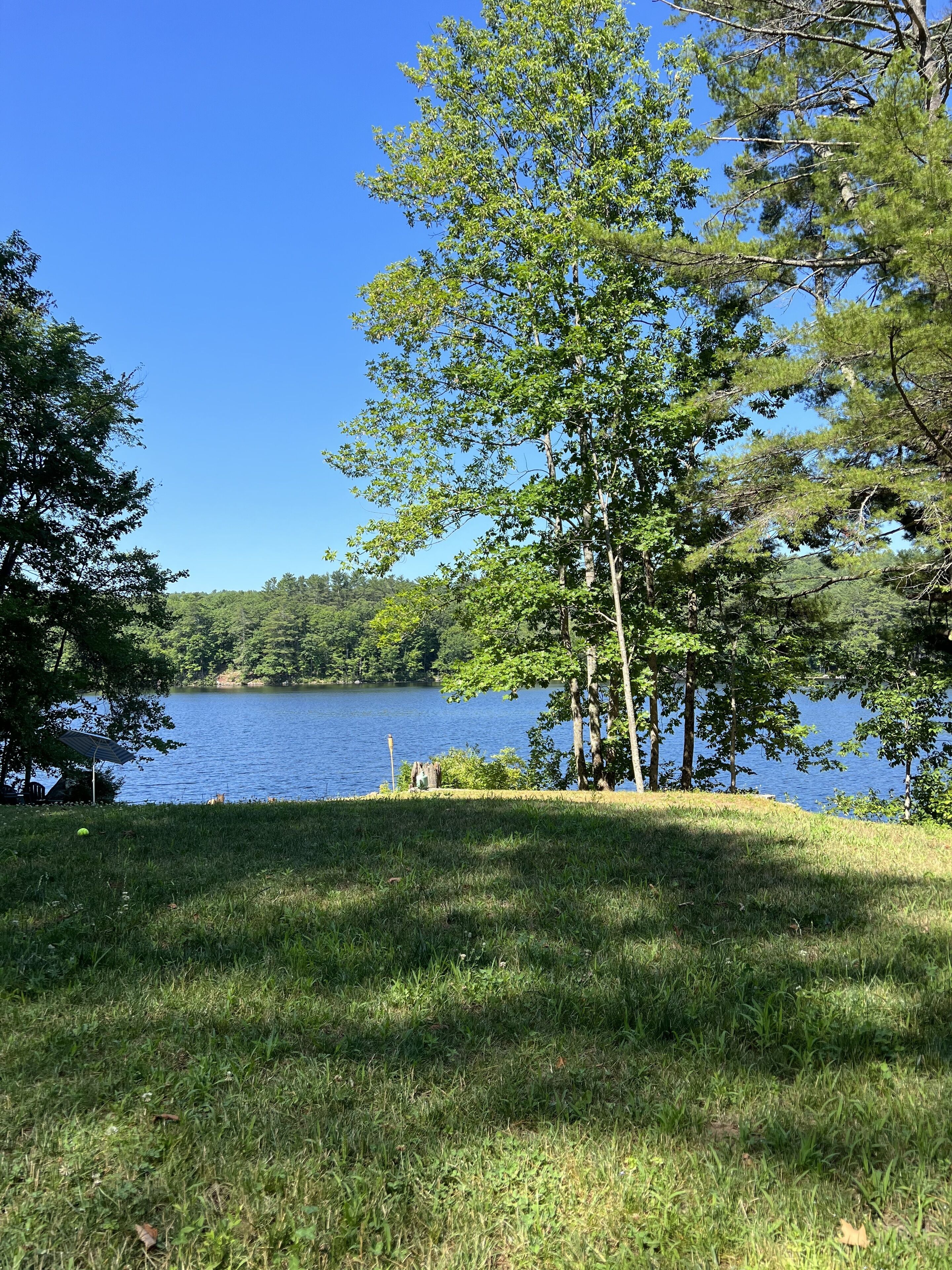 A grassy area with a lake, trees, and a clear sky.