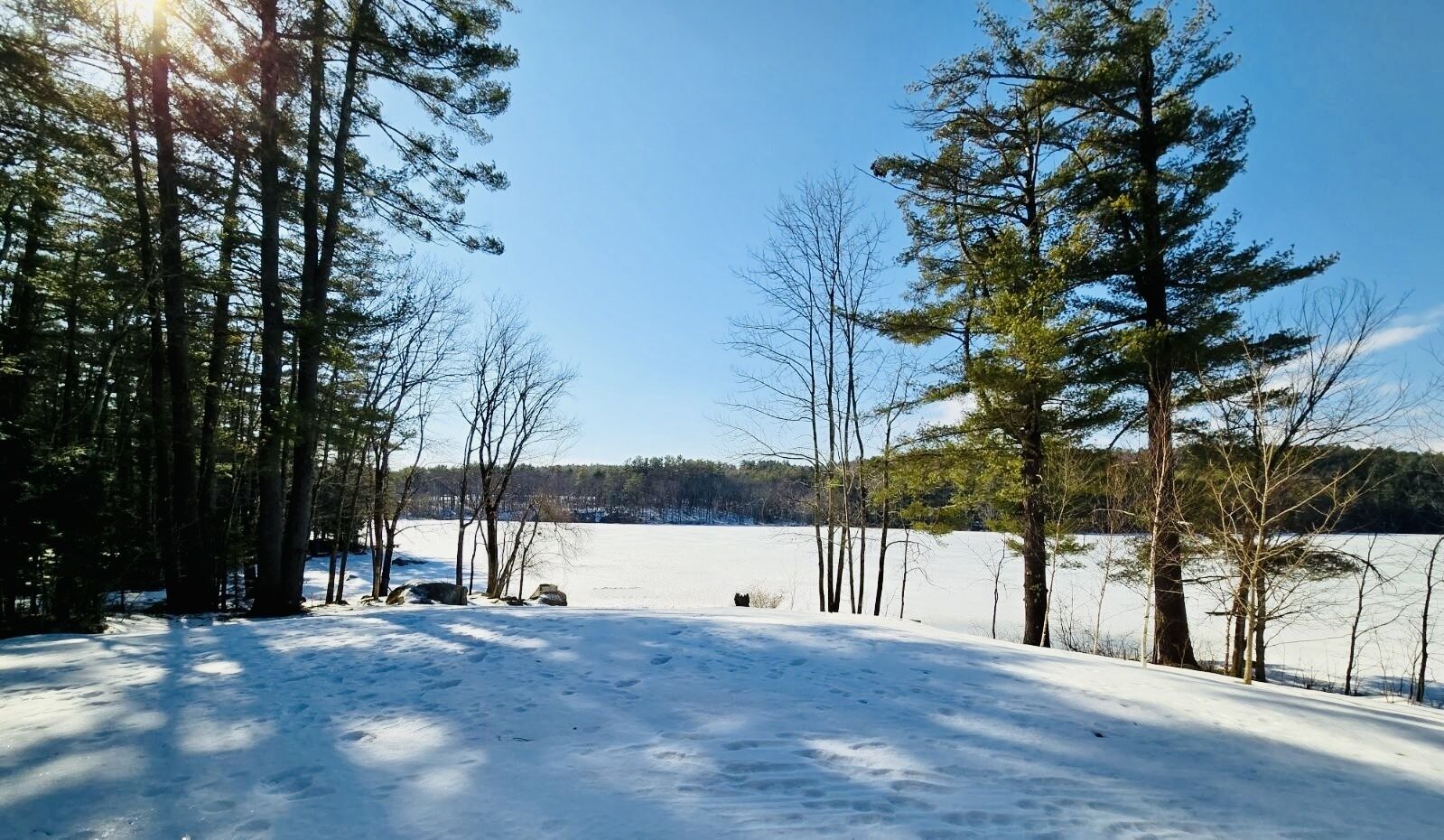 View of the lake on a  winter sunny day from living room 