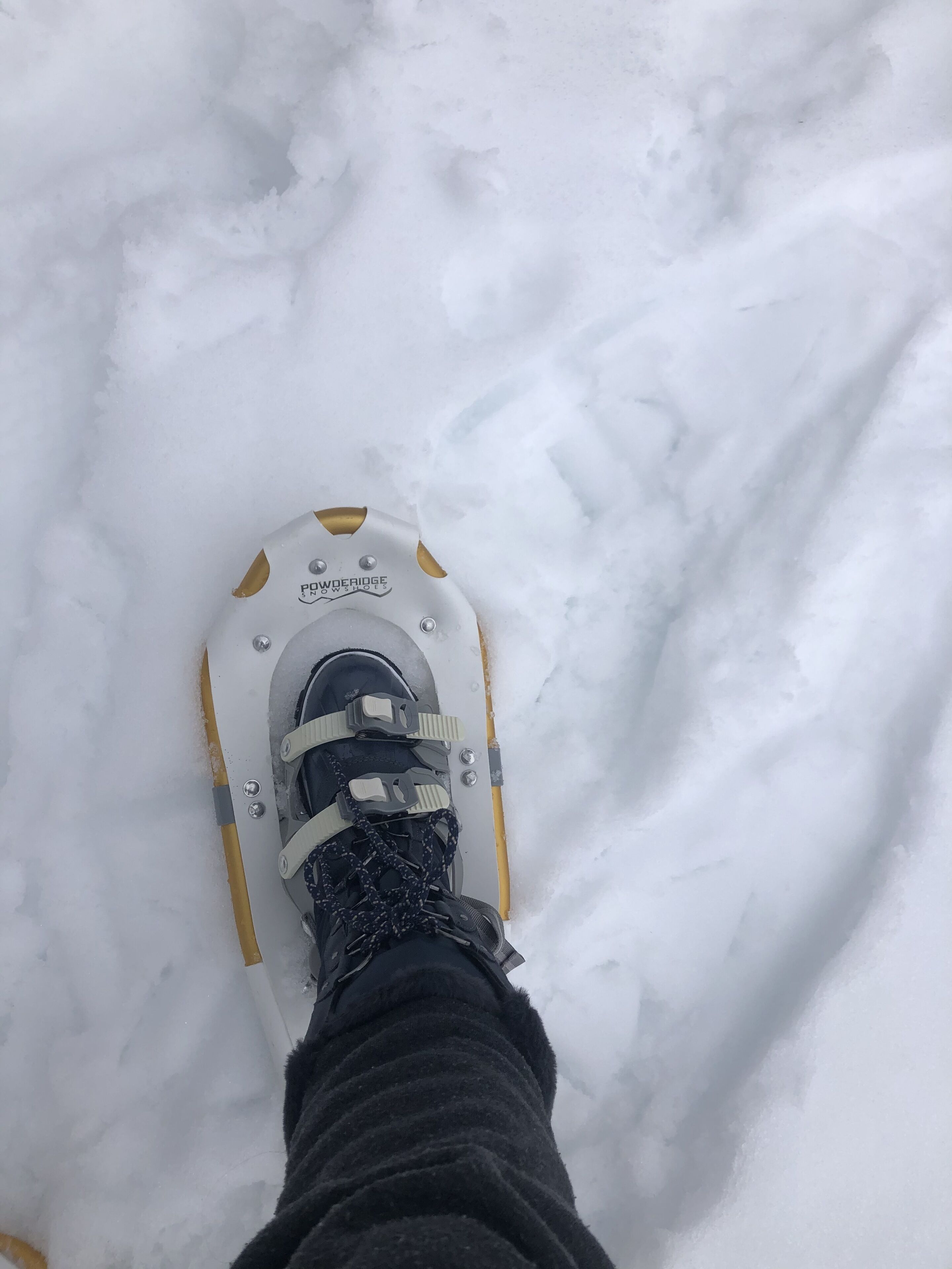 Ein Schneeschuh der Marke 'Powderidge Snowshoes' und eine Person, die eine schwarze Hose und eine schwarze Jacke trägt.
