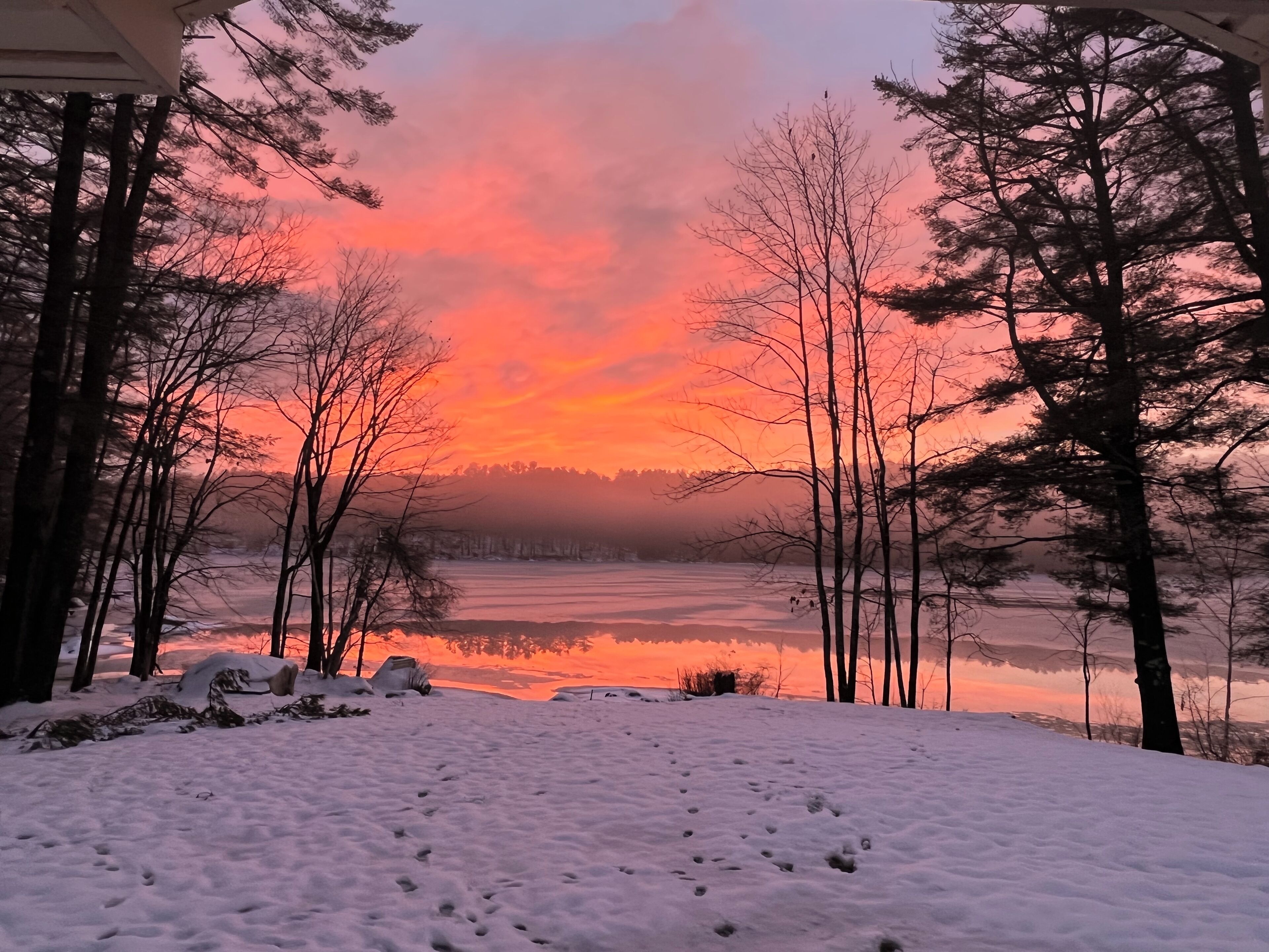 Lumipeitteinen maisema, jossa on jäinen järvi ja puita, näkymä katetulta alueelta.