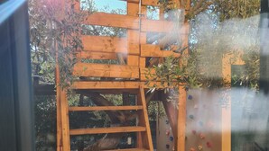 A wooden ladder attached to a wooden structure with climbing holds, surrounded by trees and mulch. - Lovely Portion of Villa in Ansedonia with swimming pool, 10' walk from Feniglia (Ansedonia)