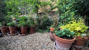 Un jardín con plantas en macetas dispuestas sobre grava, un muro de ladrillo y diversa vegetación.