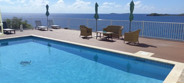 Outdoor pool - A true oceanfront villa with amazing sunsets and pool. Very nice location. (St. Thomas)