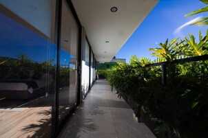 Vista desde la habitación