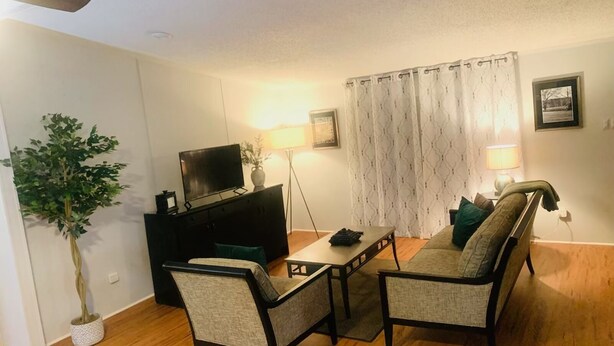 Un salon avec un téléviseur posé sur un meuble, deux fauteuils, une table basse, une plante en pot et une lampe.