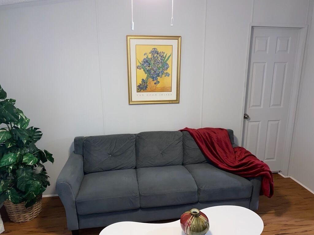 A living room with a grey sofa, a red throw blanket, a framed botanical print on the wall, and a potted plant.
