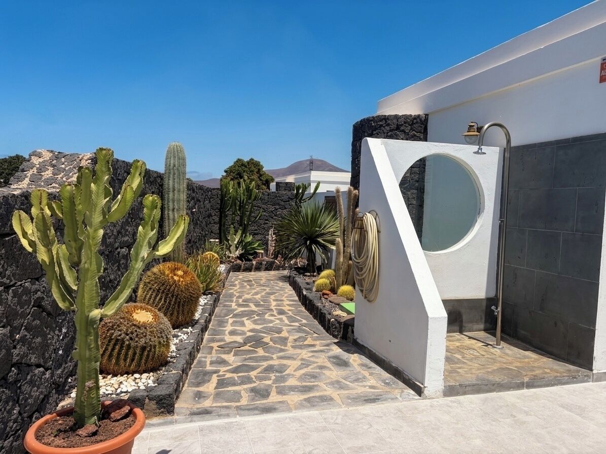 A modern building with a stone pathway leading to a circular window, surrounded by cacti and desert plants.