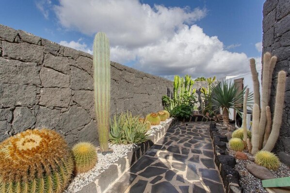 Un jardin agrémenté de différentes espèces de cactus et de plantes succulentes, un sentier en pierre et un mur en pierre.