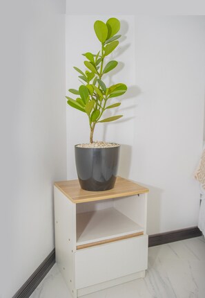 Dobbeltrom – deluxe | Skrivebord, lydisolert og wi-fi (inkludert)