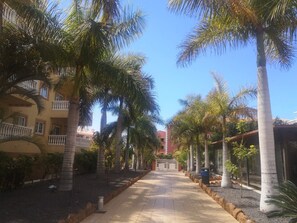 Property grounds - Très bel Appartement Lumineux 2chambres et Grande Terrasse à Palmmar (Palm Mar)