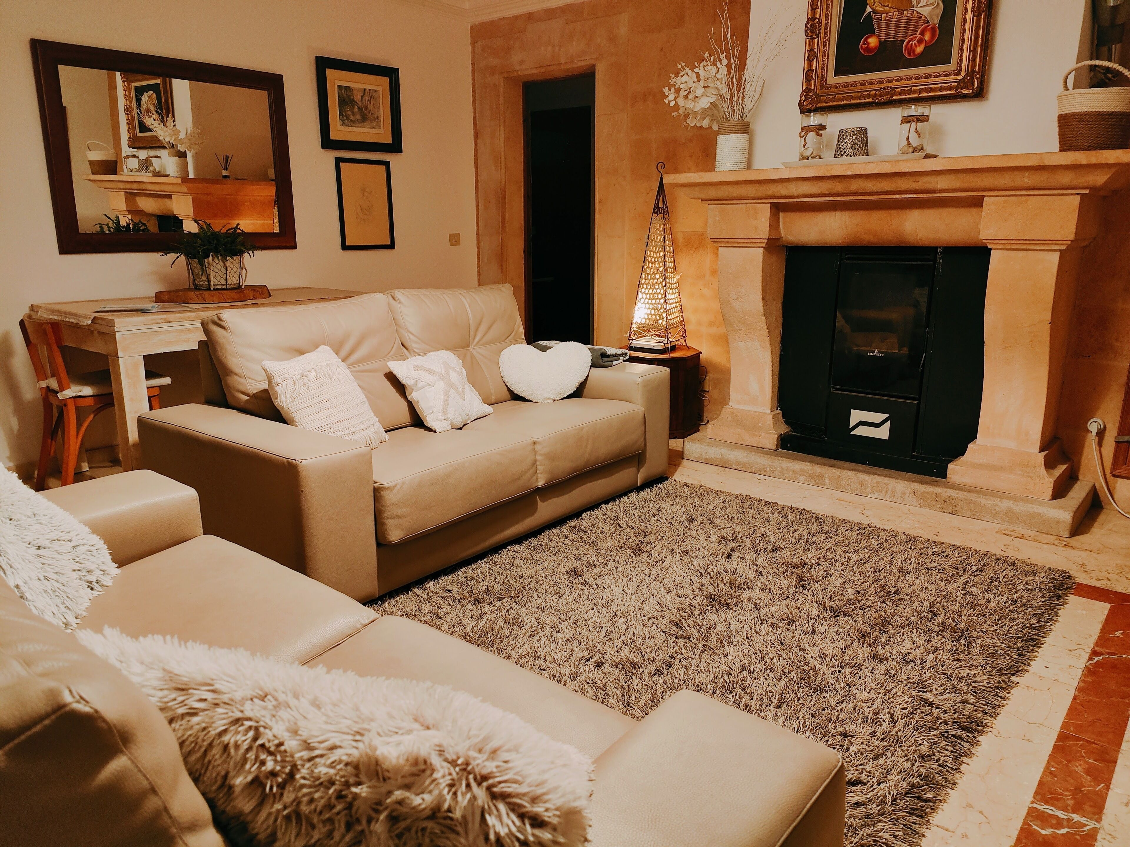 Smart TV, fireplace, video games, DVD player