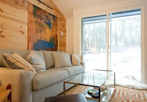 TV connectée, cheminée, livres