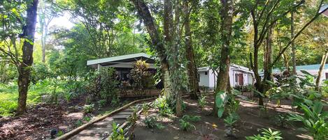 A rustic wooden structure with a roof, surrounded by dense greenery and trees.