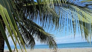 A beach with palm trees, a sandy shore, and the ocean in the background. - Nereus Retreats (Puerto Jiménez)