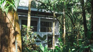 A modern building surrounded by dense tropical vegetation. - Nereus Retreats (Puerto Jiménez)