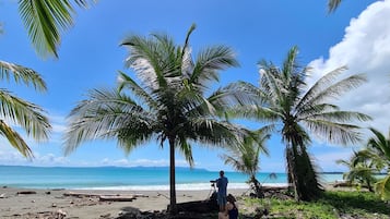 Trên bãi biển