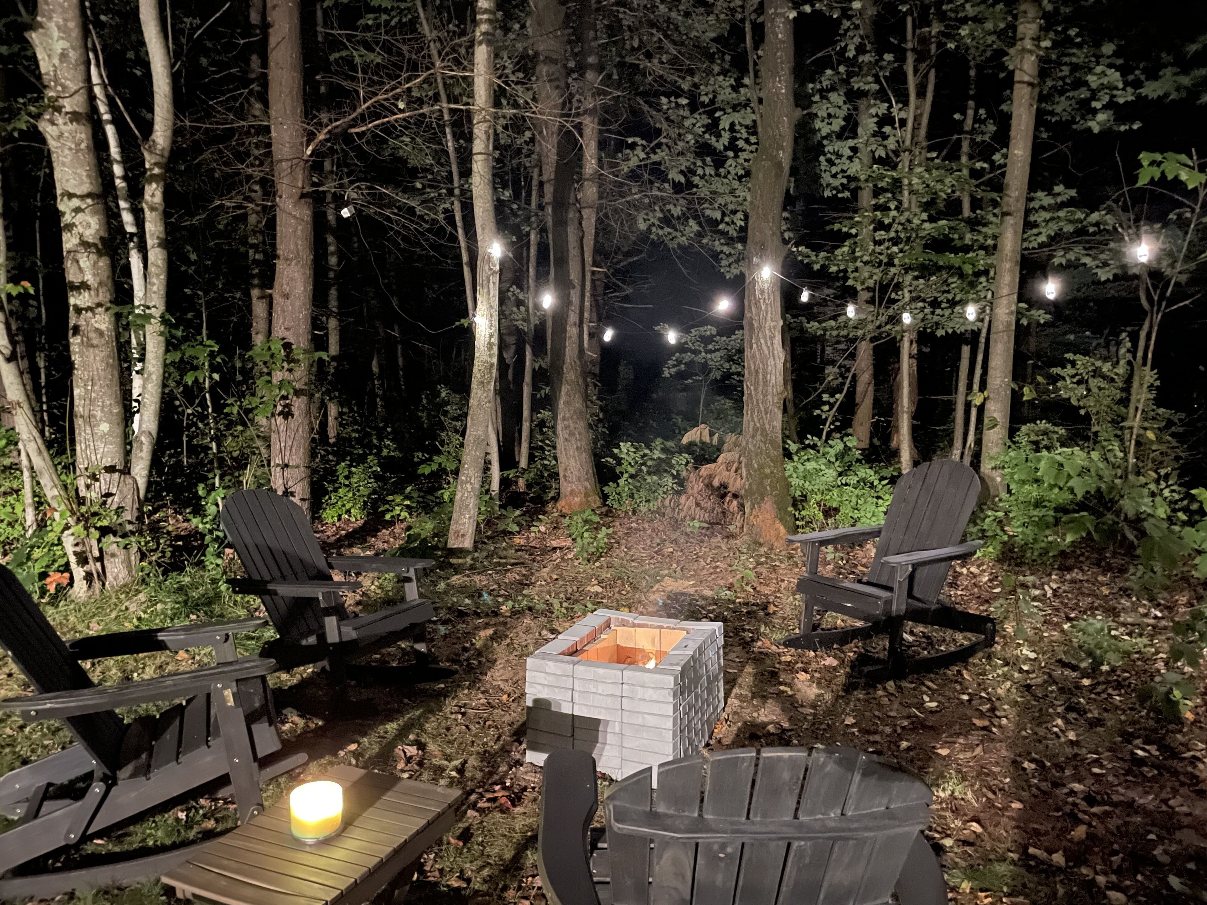 Cozy Mountain Cottage perfect for ski weekend. Pet Friendly!
