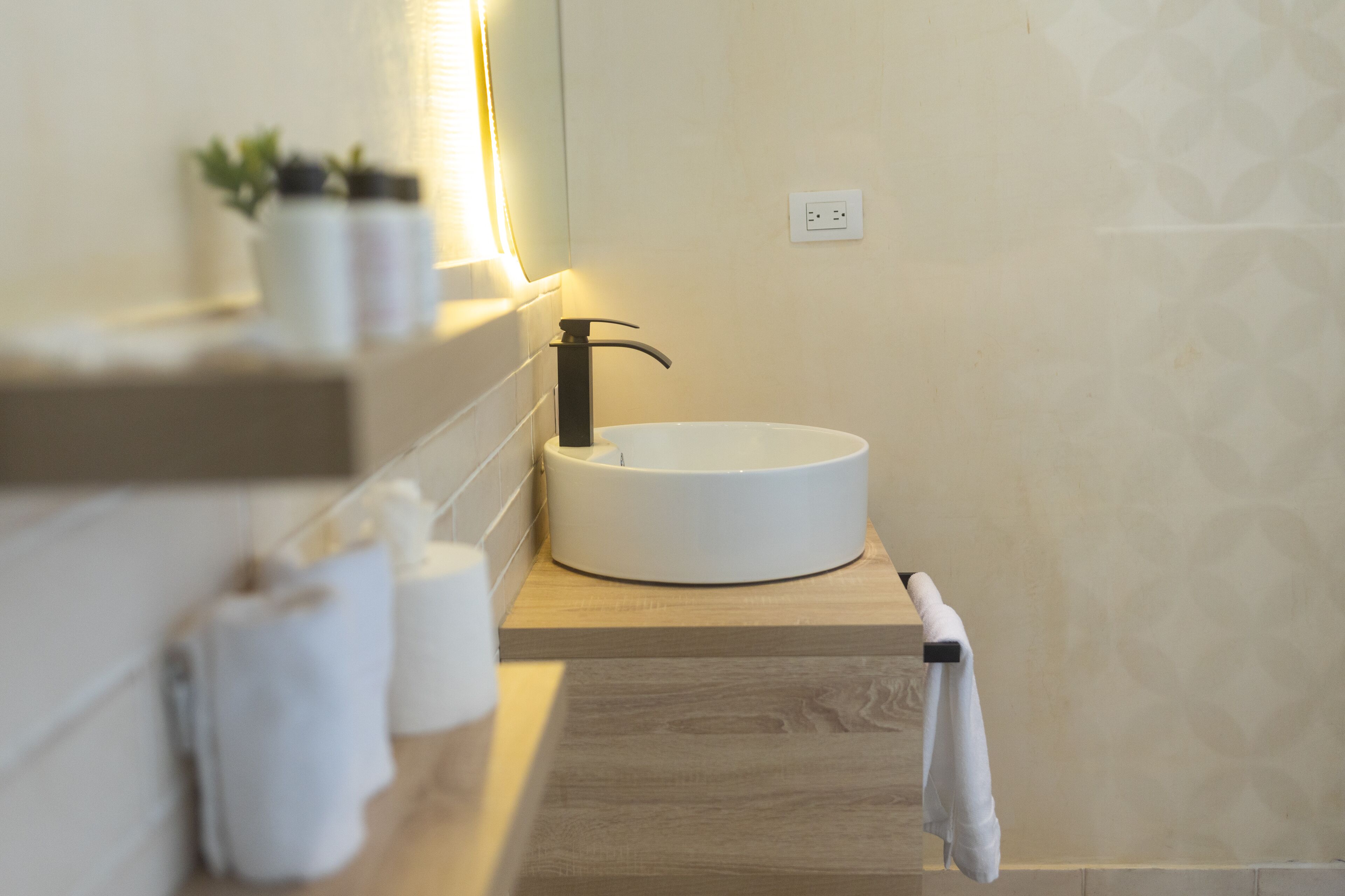 A bathroom with a round white sink, a black faucet, and a wooden countertop. There are two rolls of toilet paper and a potted plant on the shelf above the sink.