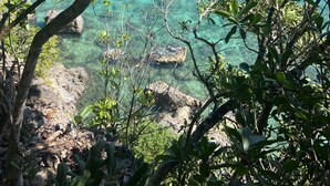 A coastal view with clear blue water, rocky shore, and dense green foliage. - AU Jardin D'eden (Le Gosier)