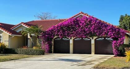 Delightful Studio in Wellington