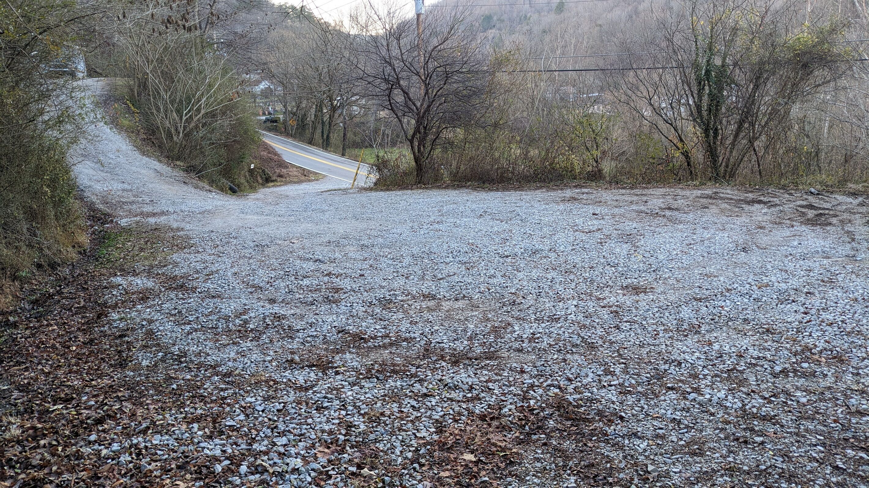 A gravel road with a curve, surrounded by leaf-covered ground and trees.