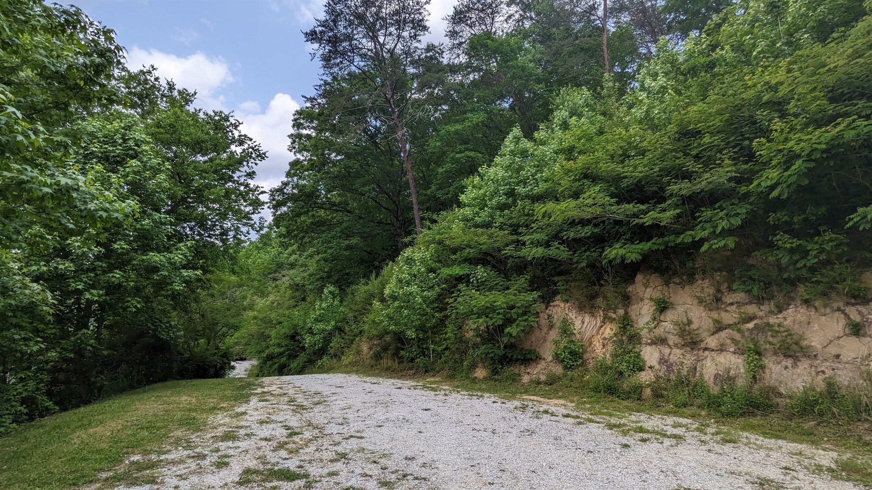 Um caminho de cascalho serpenteia por uma área arborizada, com vegetação densa e um declive rochoso.