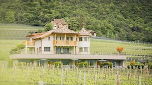 Un bâtiment à deux étages doté d’un balcon, entouré de rangées de vignes et adossé à une colline boisée.