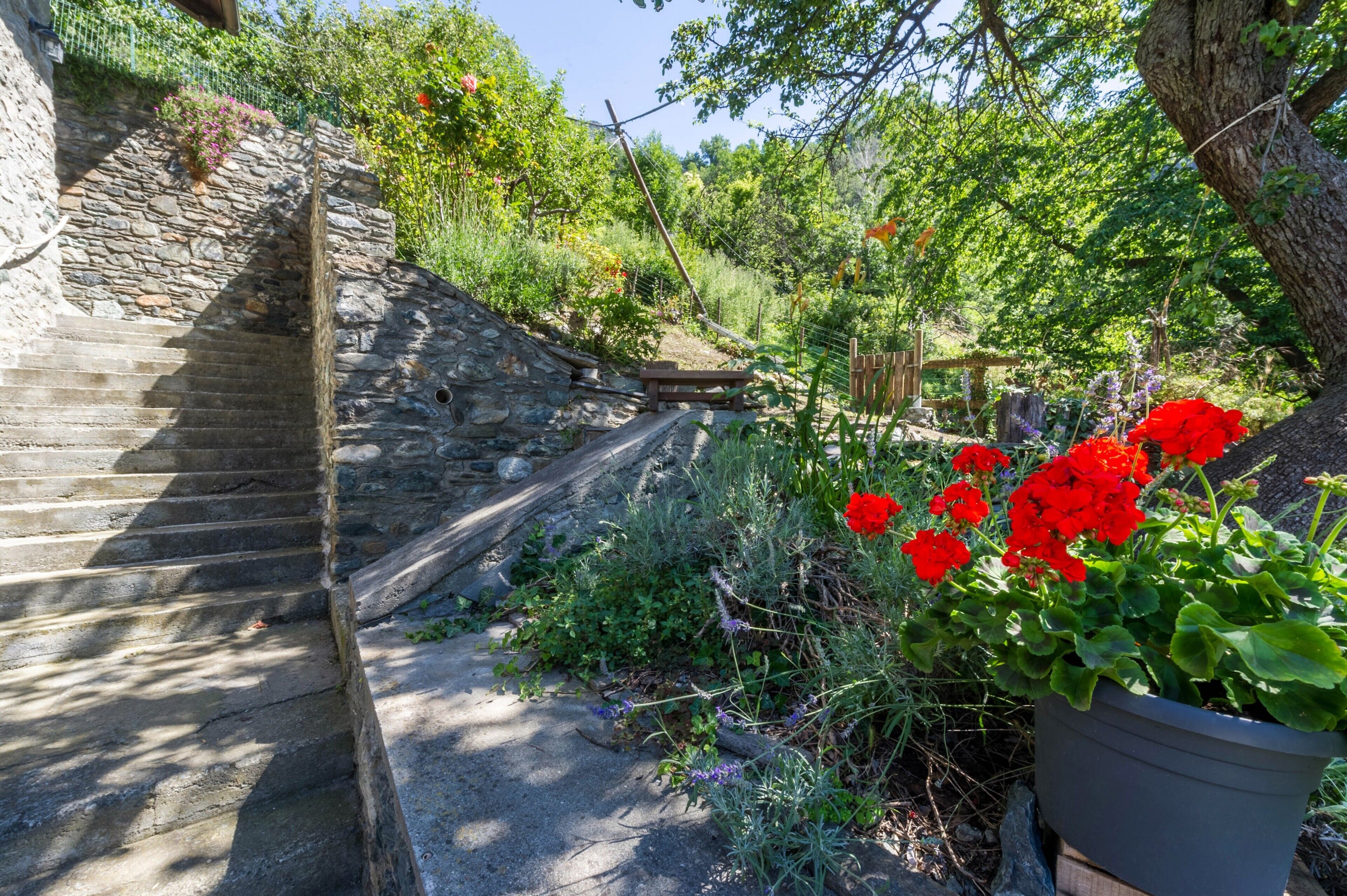 Overnatningsstedets område