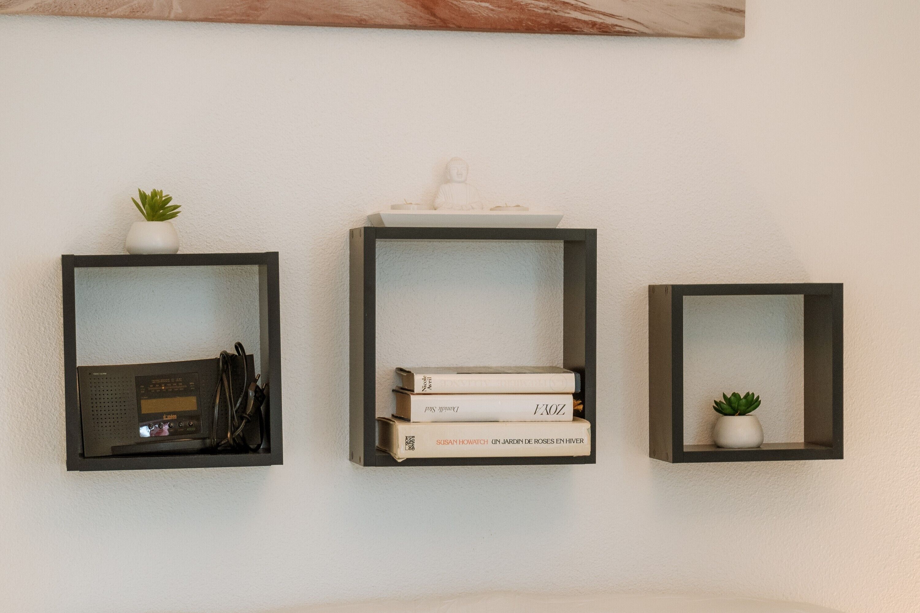 Three wall-mounted shelves with books, a radio, and small potted plants.