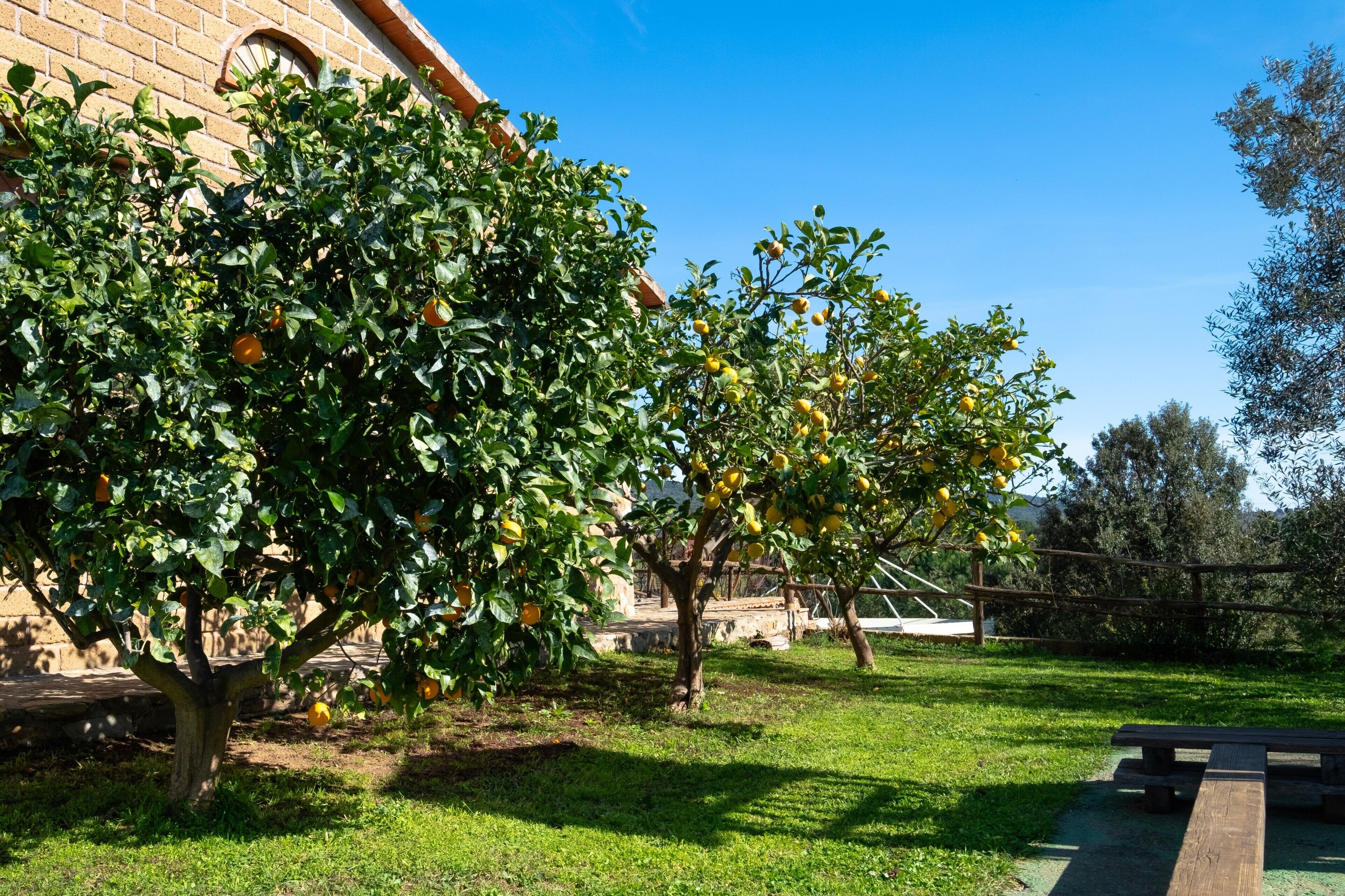 Parco della struttura