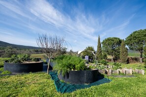 Property grounds - Farmhouse 'Aria - Agriturismo La Svolta' with Shared Garden, Wi-Fi and Air Conditioning (Manciano)