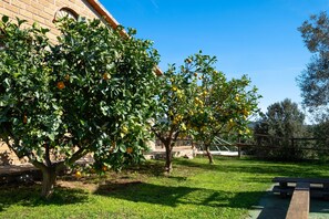 Overnatningsstedets område