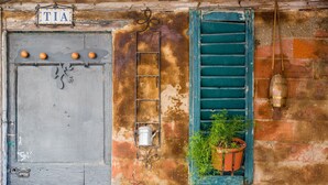 A rustic door with a sign reading 'TIA,' a metal bucket, and a potted plant. - Holiday Home 'L'arco Della Fonte' with Private Terrace, Wi-Fi and Air Conditioning (Gaiole in Chianti)