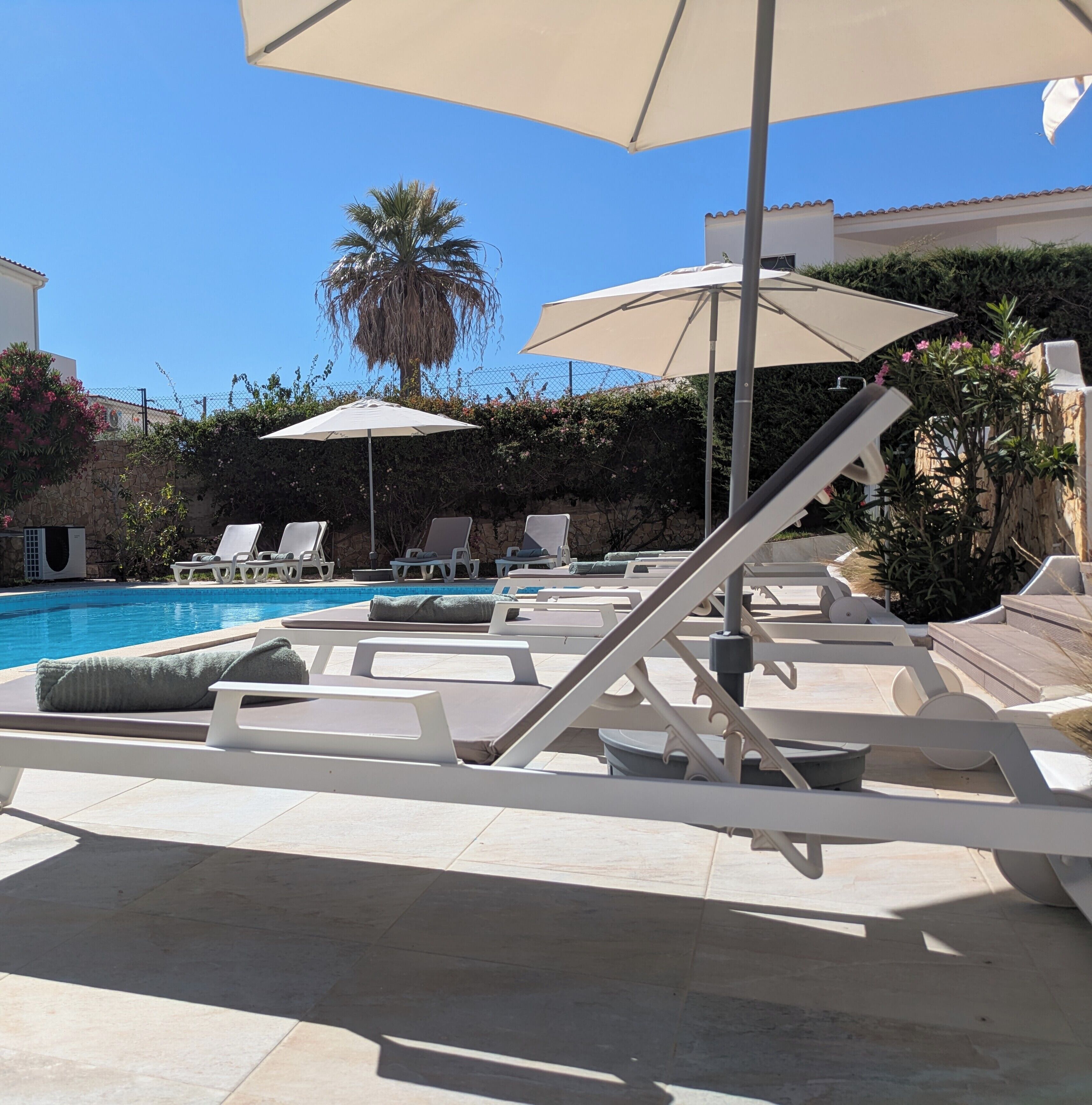 Ein Poolbereich mit Liegestühlen und Sonnenschirmen, einer Palme und einer Steinmauer.