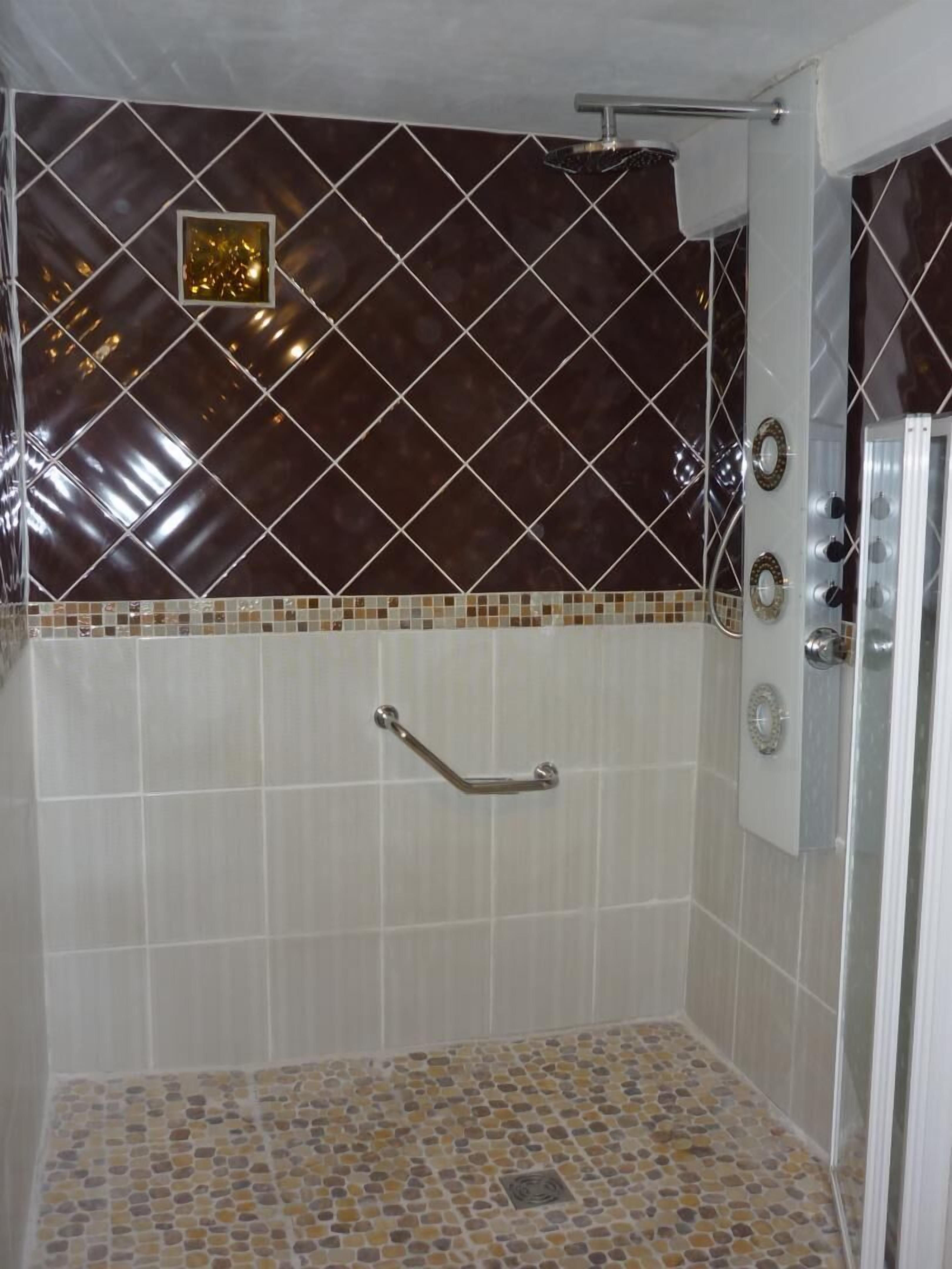 A shower area with a handrail, a glass shower enclosure, and a tiled floor with a mosaic pattern.