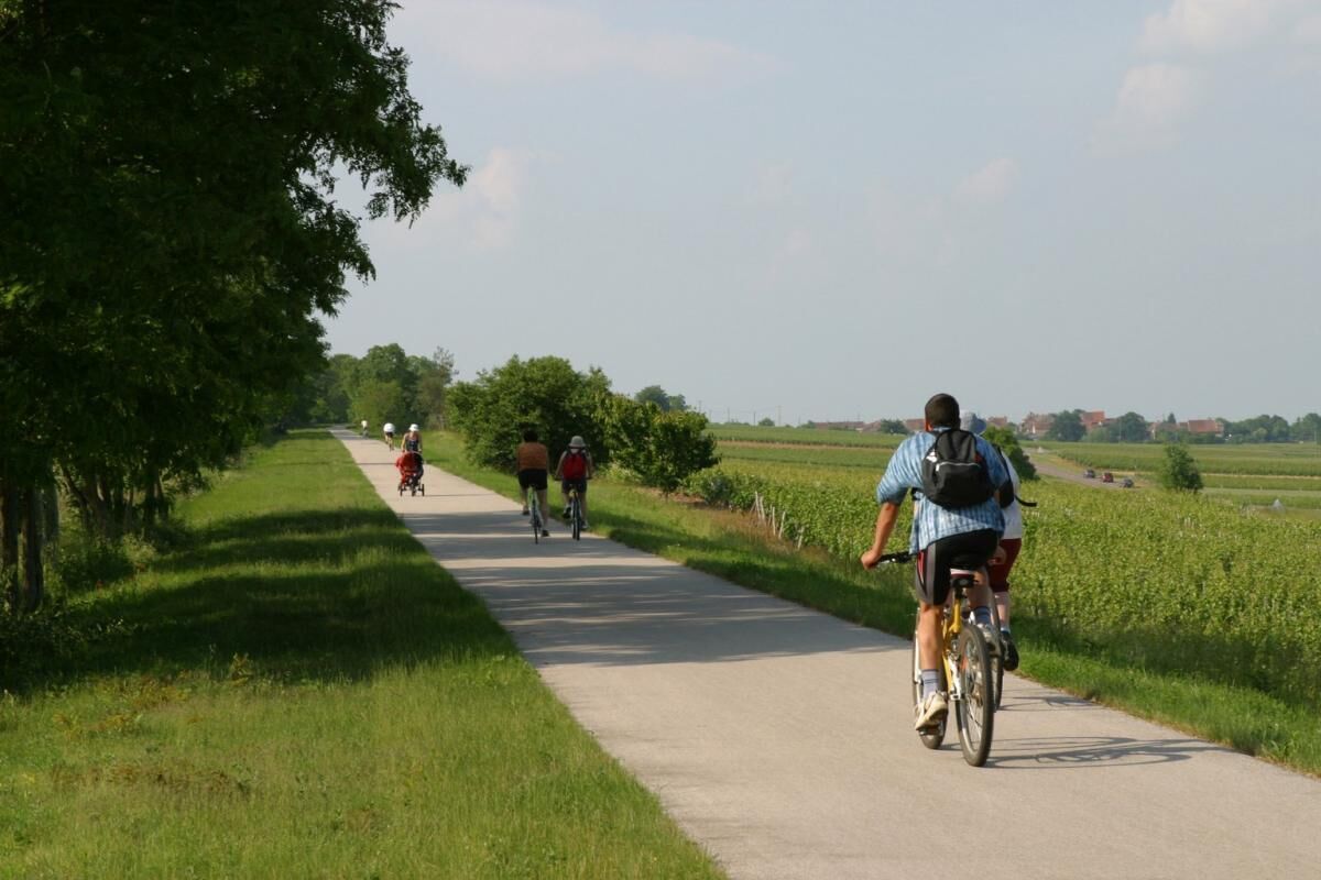 Un camí pavimentat amb ciclistes, envoltat de vegetació i camps.