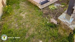 Una propiedad residencial con patio, un pequeño jardín y un muro de ladrillos.