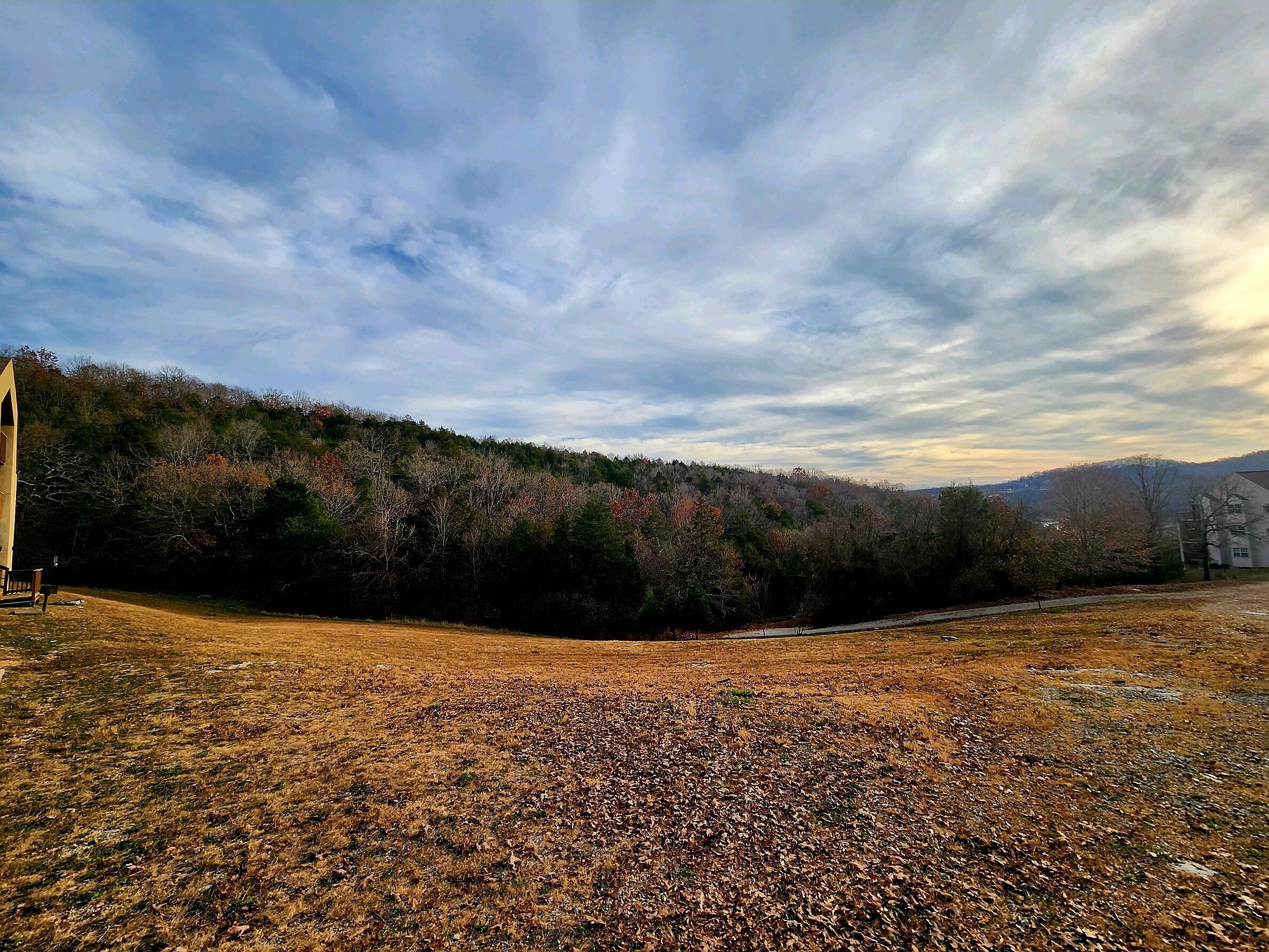 A rural landscape with a field, trees, and a distant building.
