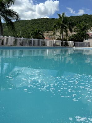 Pool - Caymanas  Estate,
 The Mountain View  (Central Village)