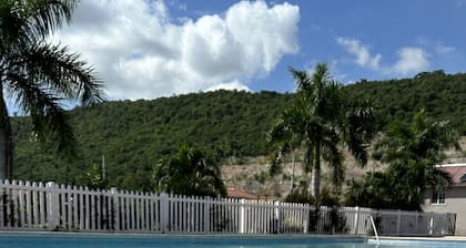 Caymanas  Estate,
 The Mountain View
