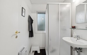 Shower, hair dryer